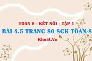 Bài 4.5 trang 80 SGK Toán 8 tập 1 Kết nối tri thức